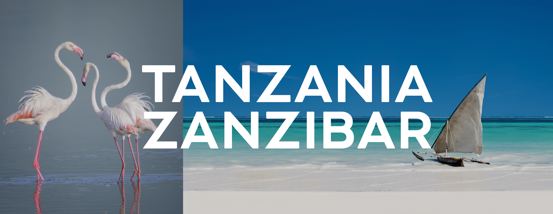 Apertura Vendite Zanzibar & Tanzania
