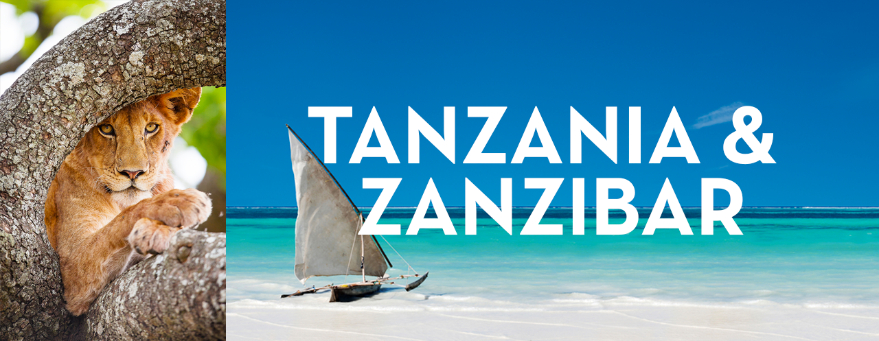 Apertura Vendite Zanzibar