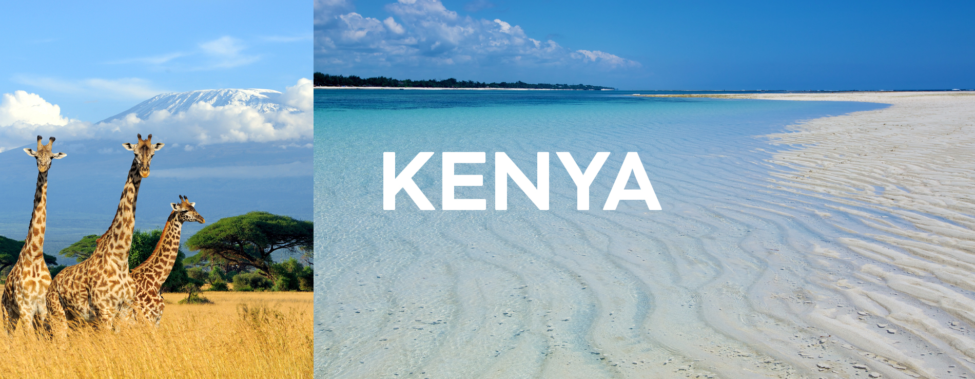 Apertura Vendite Kenya