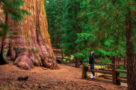 TRAVELLING AUTOCAMP 1924