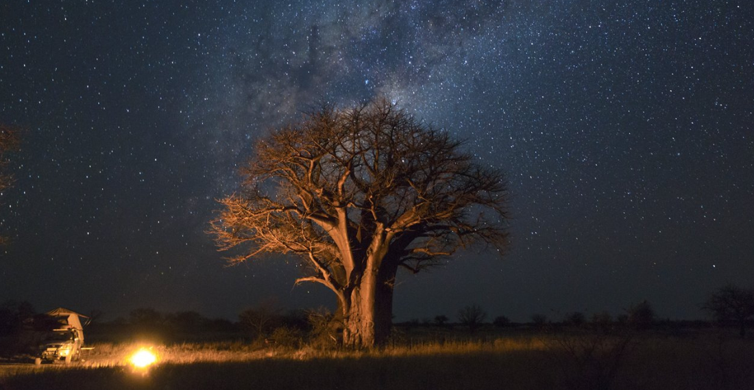 Botswana, notte stellata