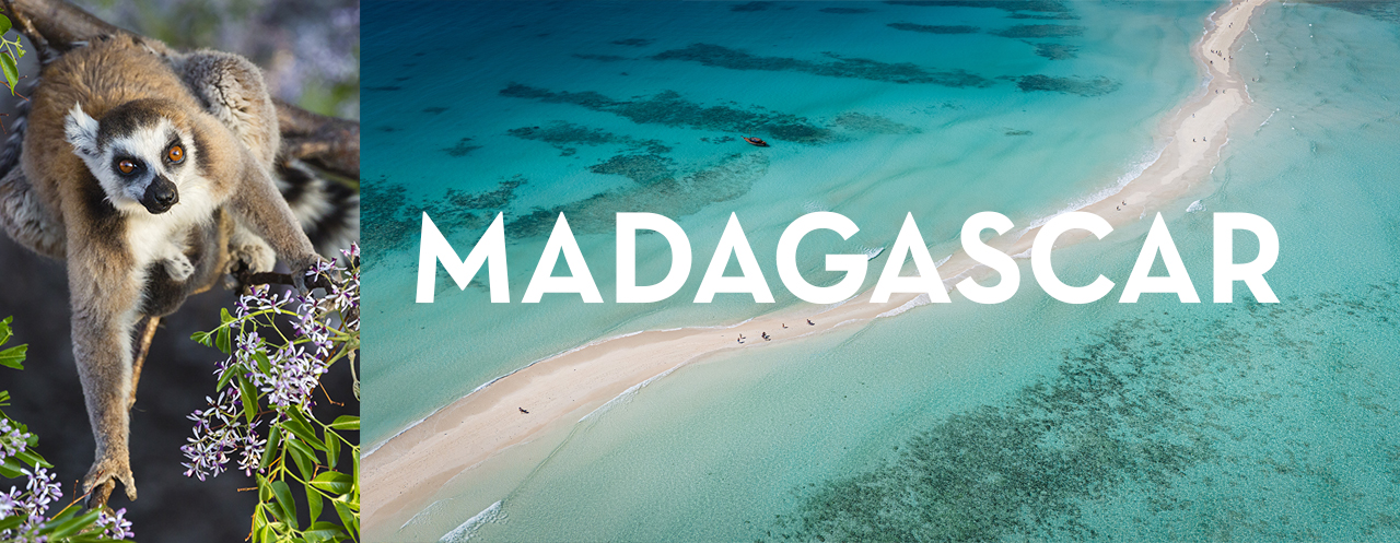 Apertura Vendite Madagascar