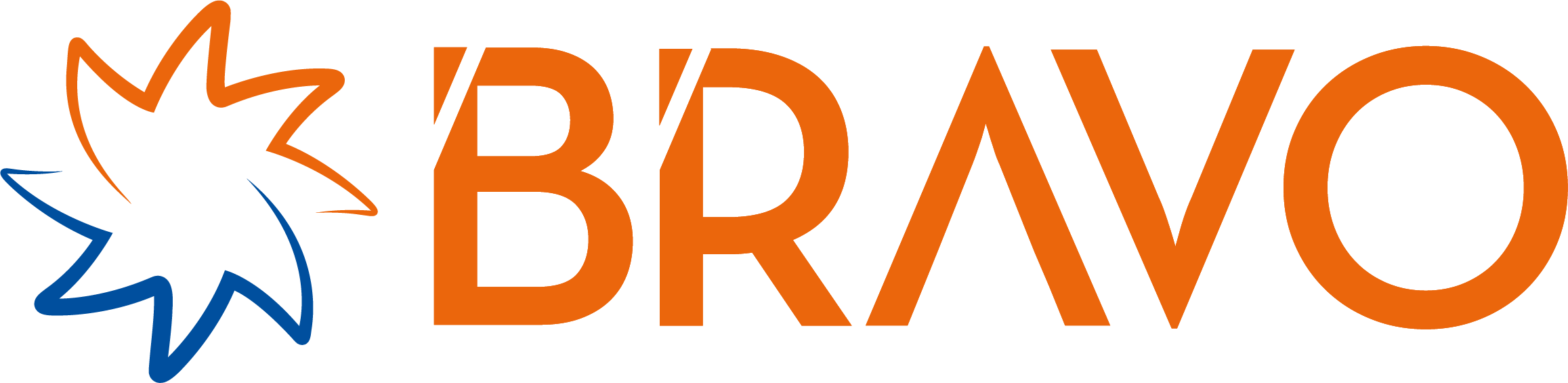 Logo Bravo